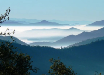 Residential Plot for Sale in Mukteshwar, Nainital (250 Sq. Meter)