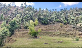 40468 Sq.ft. Commercial Lands /Inst. Land for Sale in Mall Road, Almora