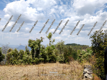 Property for sale in Mall Road, Almora