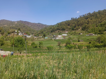 Residential Plot for Sale in Mukteshwar, Nainital (900 Sq. Meter)