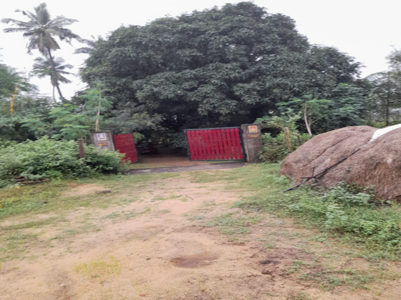 Formeland with formehouse near poonamalle to Kanchipuram highways