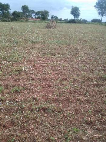 1.06 Acre Agricultural/Farm Land for Sale in Bogadhi, Mysore