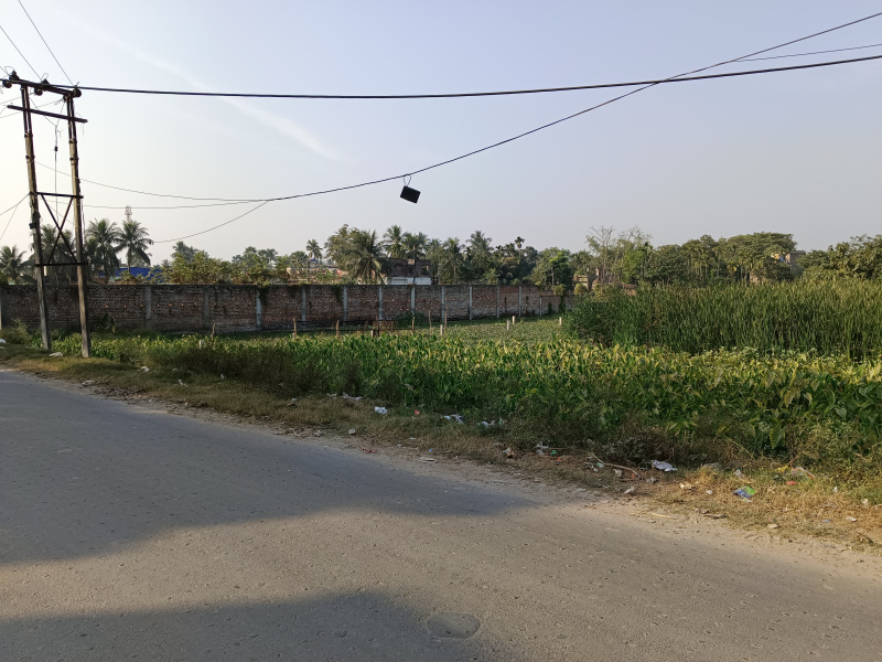 Plot for sale in Barrackpore for commercial purposes