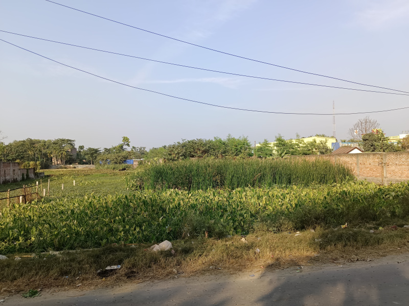 Plot for sale in Barrackpore for commercial purposes