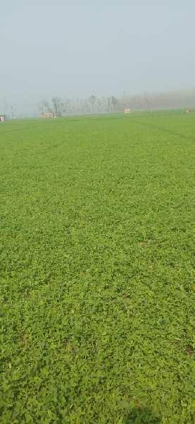 Property for sale in Dharuhera, Rewari