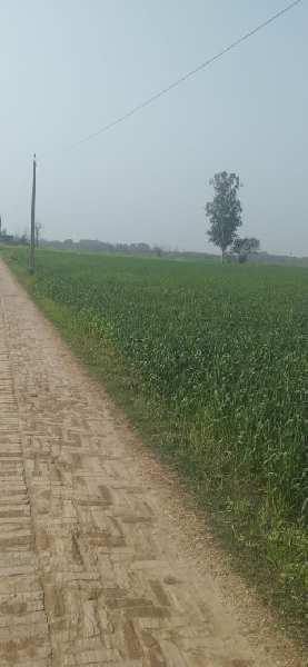 15 Acre Commercial Lands /Inst. Land for Sale in Dharuhera, Rewari (14 Ares)