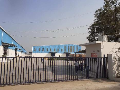 210000 Sq.ft. Warehouse/Godown for Rent in NH 8, Dharuhera