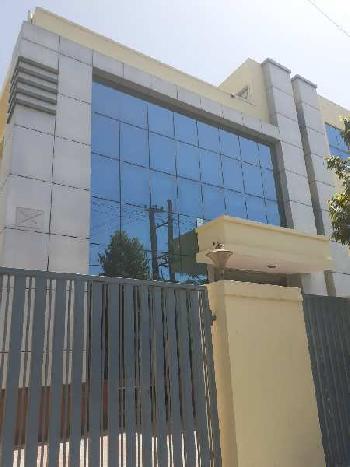 22500 Sq.ft. Factory / Industrial Building for Rent in Phase IV, Gurgaon