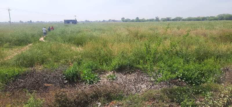 7.5 Acre Industrial Land / Plot for Sale in Jamalpur, Gurgaon