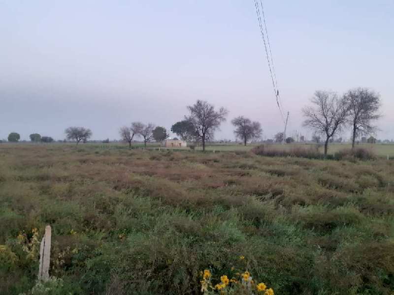 3.5 Acre Agricultural/Farm Land for Sale in Pataudi Road, Gurgaon