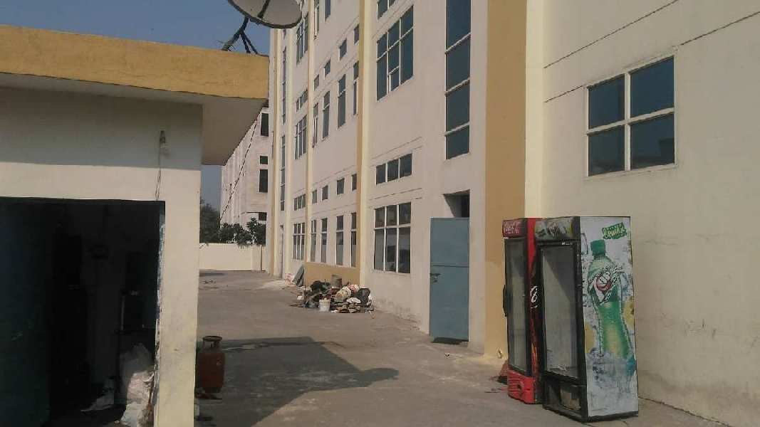 60000 Sq.ft. Warehouse/Godown for Rent in Pace City 2, Gurgaon