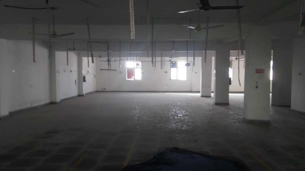 40000 Sq.ft. Factory / Industrial Building for Rent in Phase IV, Gurgaon