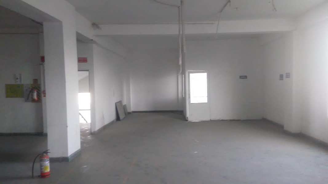 13000 Sq.ft. Factory / Industrial Building for Rent in Phase IV, Gurgaon