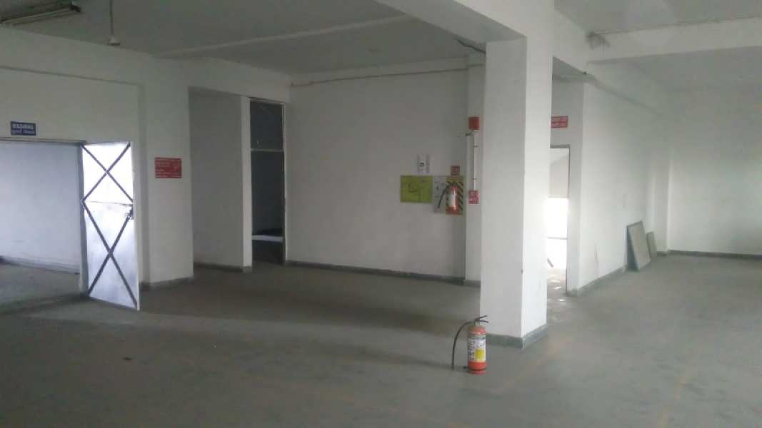 13000 Sq.ft. Factory / Industrial Building for Rent in Phase IV, Gurgaon