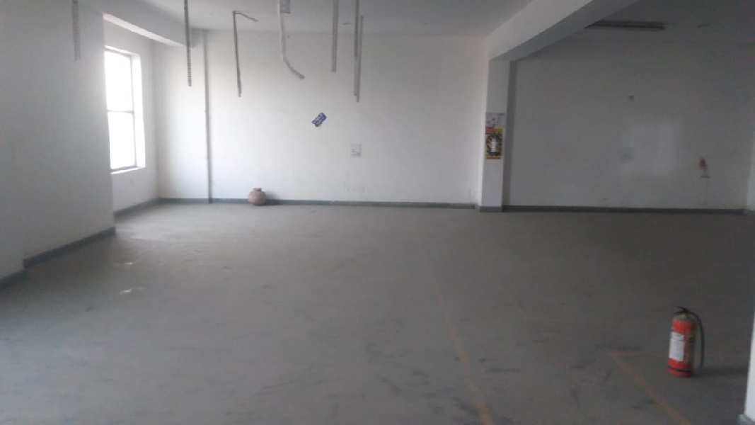 12000 Sq.ft. Factory / Industrial Building for Rent in Phase IV, Gurgaon