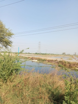 Property for sale in Nalhar, Nuh