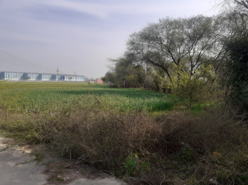 Property for sale in Jatusana, Rewari