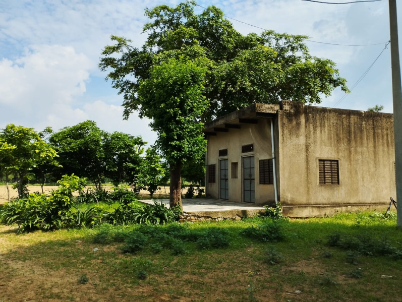 26 Bigha Agricultural/Farm Land for Sale in Pataudi, Rewari