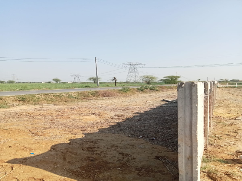 Commercial plots with 500- 1200 sq yard available for sale in Garhi Harsaru