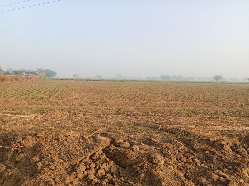 500 Sq. Yards Commercial Lands /Inst. Land for Sale in Surat Nagar Phase 1, Gurgaon