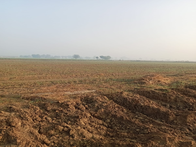 500 Sq. Yards Commercial Lands /Inst. Land for Sale in Surat Nagar Phase 1, Gurgaon