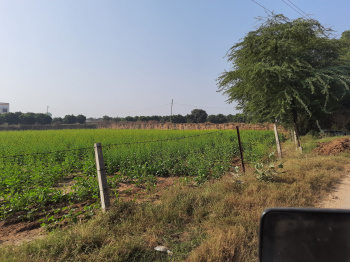 1900 Sq. Yards Commercial Lands /Inst. Land for Sale in Haryana
