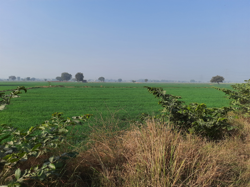 1.8 Ares Commercial Lands /Inst. Land for Sale in Haryana