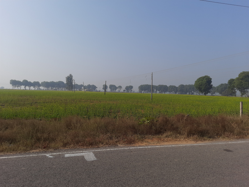 5 Ares Industrial Land / Plot for Sale in Dharuhera, Rewari
