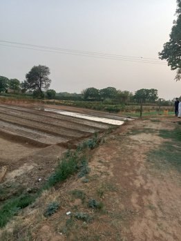 6 Acre Agricultural/Farm Land for Sale in Pataudi Road, Gurgaon