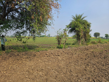 Residential Plot for Sale in Sanjay Gandhi Transport Nagar, Delhi (2000 Sq.ft.)