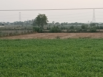 Property for sale in Jatusana, Rewari