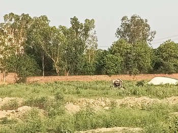 Property for sale in Jatusana, Rewari