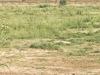 Property for sale in Jatusana, Rewari