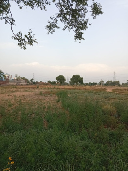 Agricultural/Farm Land for Sale in Bawal, Rewari (8 Acre)