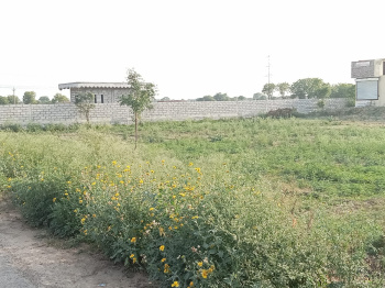 Agricultural/Farm Land for Sale in Bawal, Rewari (4 Acre)