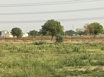 Agricultural/Farm Land for Sale in Farrukhnagar, Gurgaon (5 Acre)