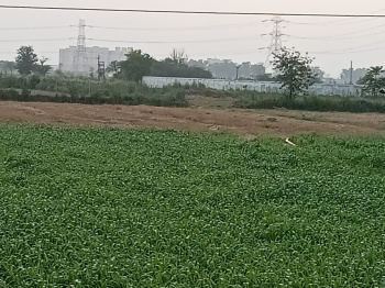 Agricultural/Farm Land for Sale in Dharuhera, Rewari (5 Acre)