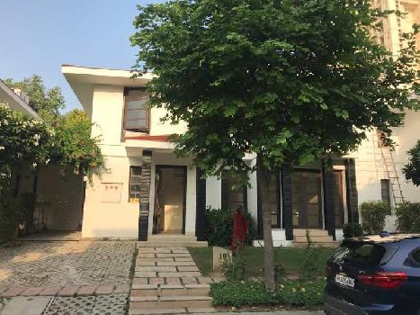 7 BHK Individual Houses / Villas for Sale in Sector 48, Gurgaon (500 Sq. Yards)