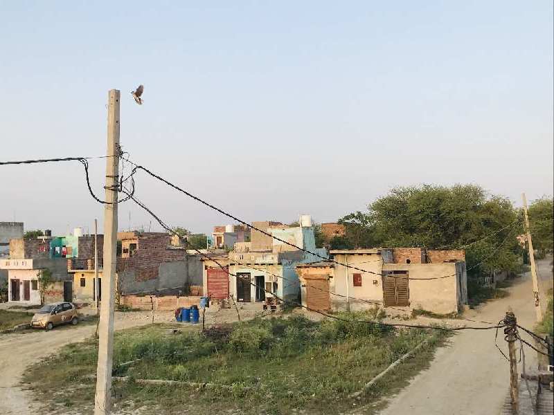 50 Sq. Yards Residential Plot for Sale in Bahadurgarh