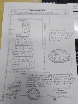 2400 Sq.ft. Residential Plot for Sale in Gandarvakottai, Pudukkottai
