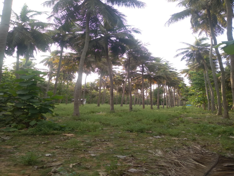108000 Sq.ft. Agricultural/Farm Land for Sale in Tamil Nadu