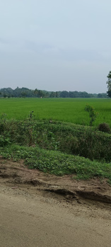 5 Acre Agricultural/Farm Land for Sale in Thiruvidaimarudur, Thanjavur
