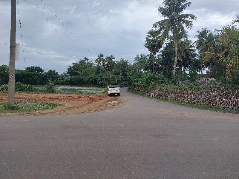 20 Acre Agricultural/Farm Land for Sale in Kuthalam, Nagapattinam