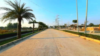 2275 Sq.ft. Residential Plot for Sale in Sultanpur Road, Lucknow