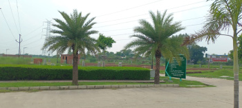 1910 Sq.ft. Residential Plot for Sale in Sultanpur Road, Lucknow