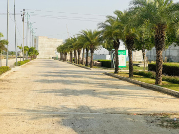 1250 Sq.ft. Residential Plot for Sale in Sultanpur Road Sultanpur Road, Lucknow