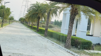 880 Sq.ft. Residential Plot for Sale in New Jail Road New Jail Road, Lucknow