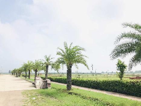 1206 Sq.ft. Residential Plot for Sale in Kisan Path, Lucknow