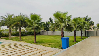Property for sale in Sejbahar, Raipur