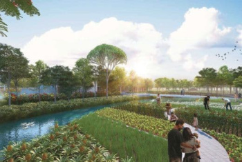 Property for sale in Kachna, Raipur